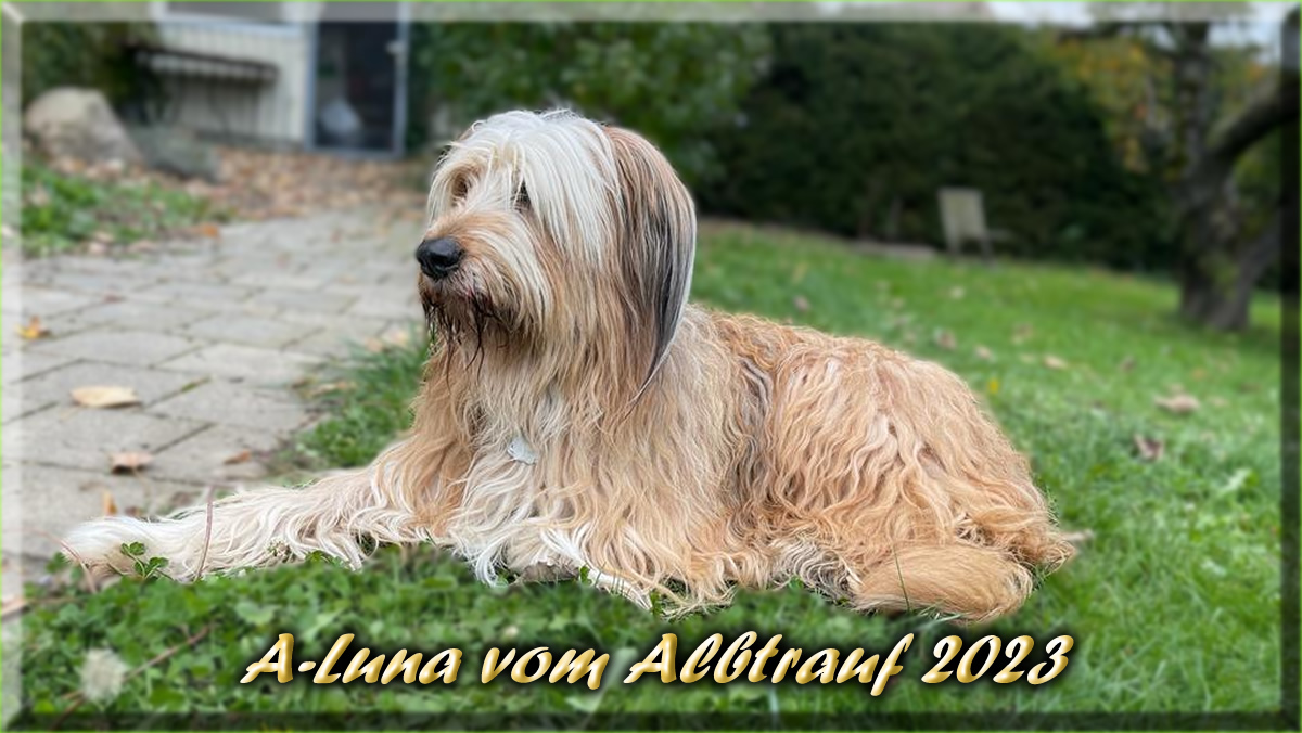 Luna von der Straubenhalde